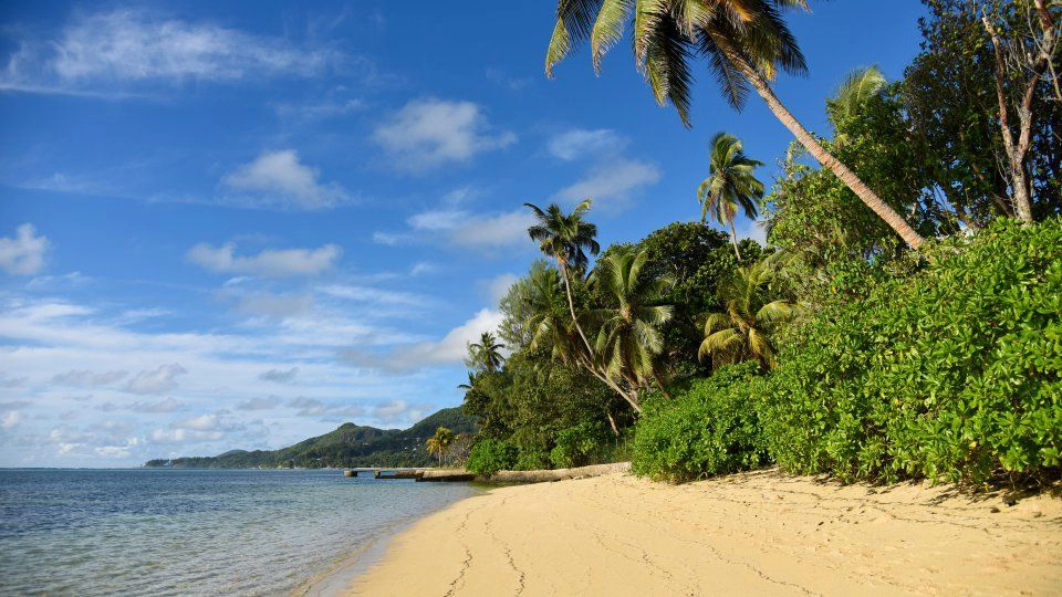 Anse aux Pins