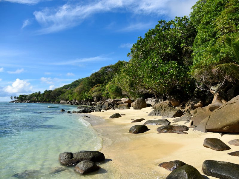 Anse Baleine