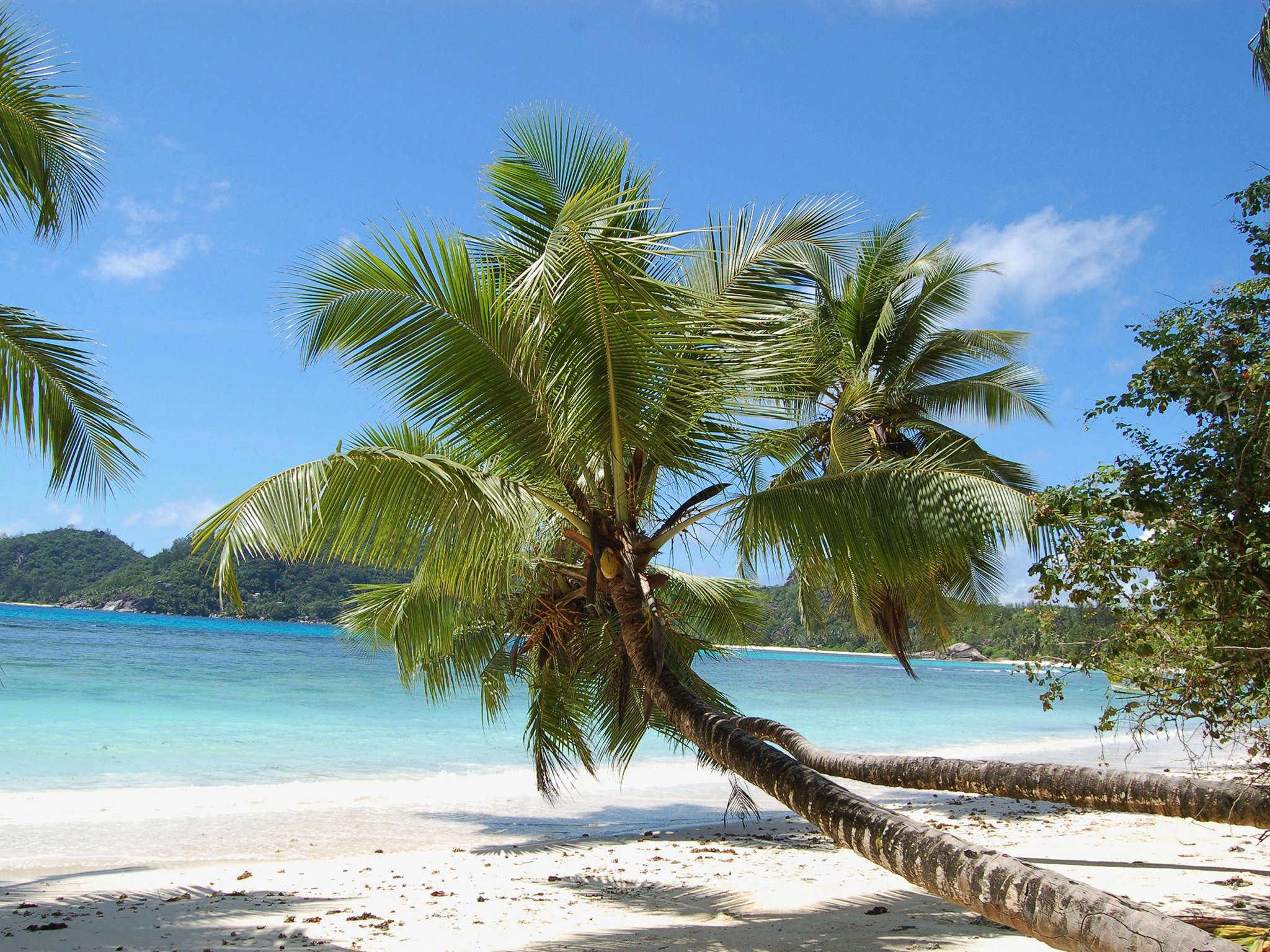 Anse Gaulette