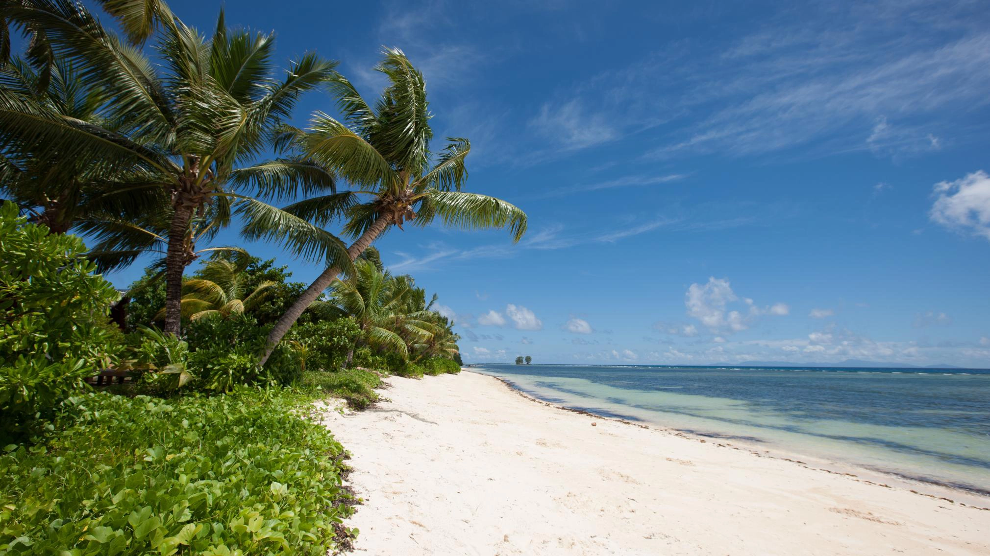 Anse La Réunion
