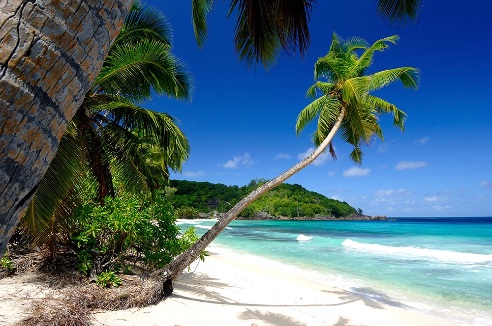 Anse Takamaka