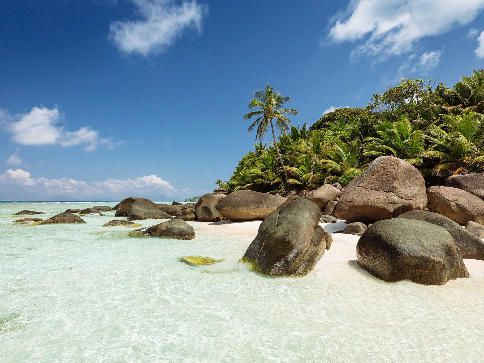 Baie Cipailles or Anse Cipailles