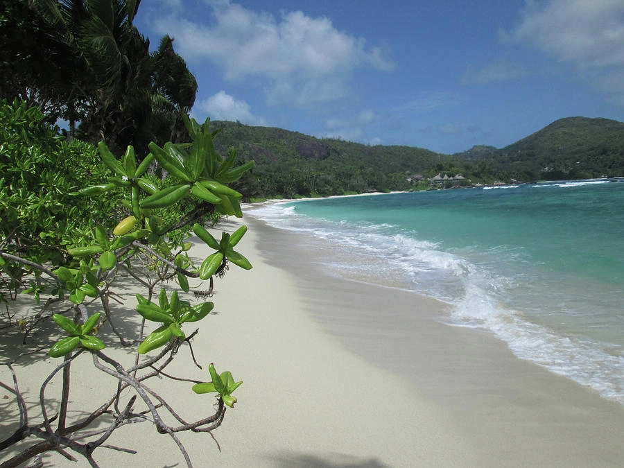 Baie Lazare