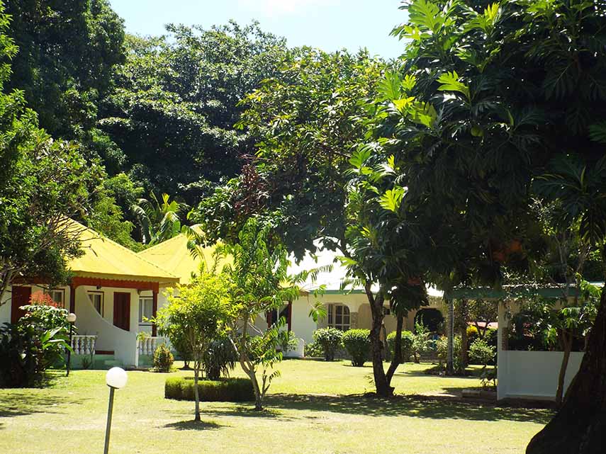 Chalet Bamboo Vert